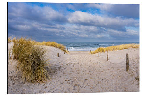 Aluminium print Beach Entrance on the Baltic Sea Coast in Graal Müritz