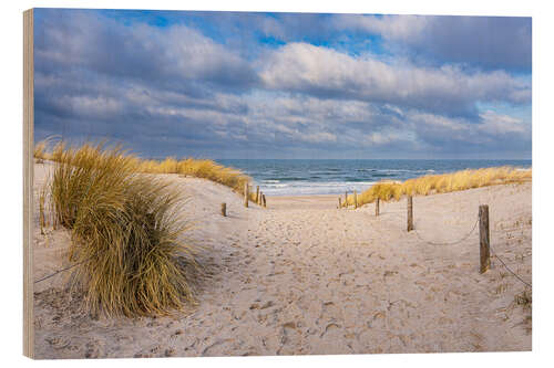 Wood print Beach Entrance on the Baltic Sea Coast in Graal Müritz