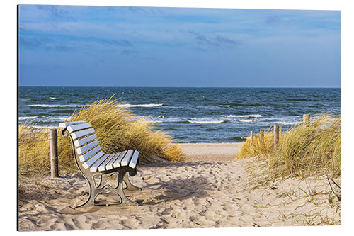 Stampa su alluminio Bench in the dunes on the Baltic Sea coast