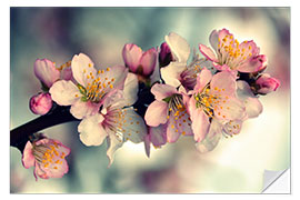 Vinilo para la pared Almond blossom branch