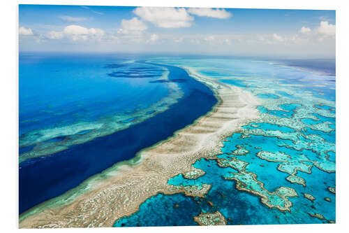 Quadro em PVC Great Barrier Reef, Australia