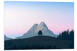 Foam board print Schreckhorn and a lonely tree