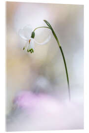 Acrylic print Like a ballerina