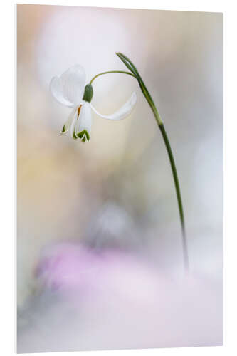 Tableau en PVC Like a ballerina