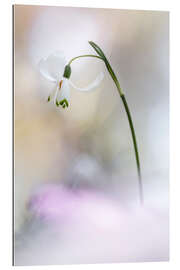 Gallery Print Wie eine Ballerina