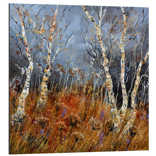 Aluminium print Aspen trees in winter