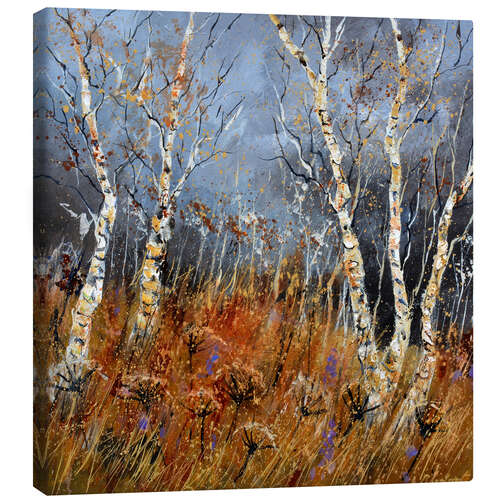 Canvas print Aspen trees in winter