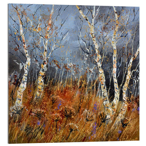 Tableau en plexi-alu Aspen trees in winter