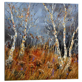 Gallery print Aspen trees in winter