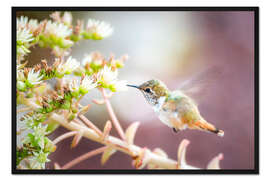 Gerahmter Kunstdruck Kolibri mit Blütenzweig