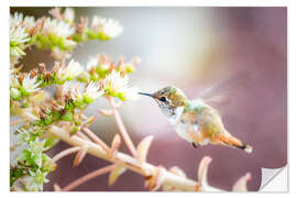 Vinilo para la pared Hummingbird with Blossom bBanch