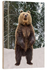 Holzbild Stehender Braunbär