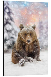 Aluminium print Bear Plays in the Snow