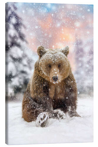 Lienzo Bear Plays in the Snow