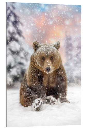 Gallery print Bear Plays in the Snow