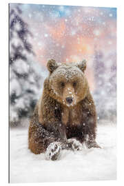 Gallery print Bear Plays in the Snow