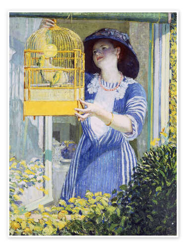Poster The Open Window
