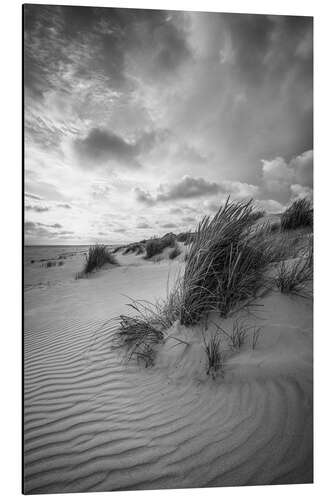 Stampa su alluminio Dune Landscape at the North Sea