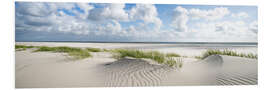 Foam board print Dunes on the North Sea