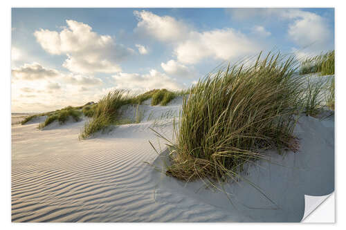 Selvklebende plakat Beach Grass on the Dune Beach