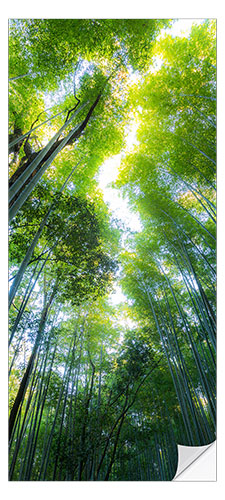 Sticker pour porte Bamboo Forest