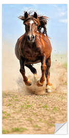 Door sticker Mare at a Gallop I