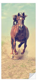 Door sticker Mare at a Gallop II