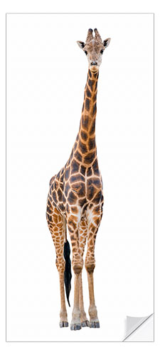 Door sticker Funny Giraffe