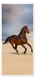 Poster pour porte Horse on the beach