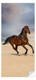 Door sticker Horse on the beach