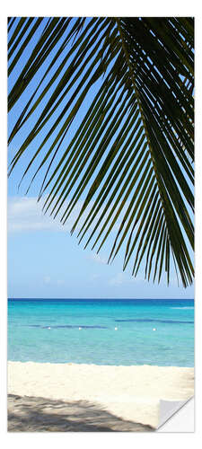 Ovitapetti Palm Beach