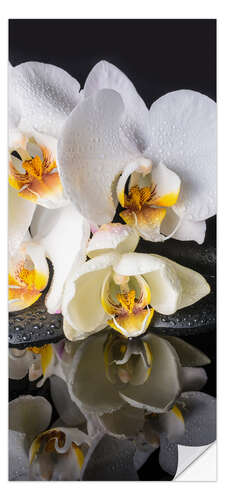 Sticker pour porte Orchid Reflection