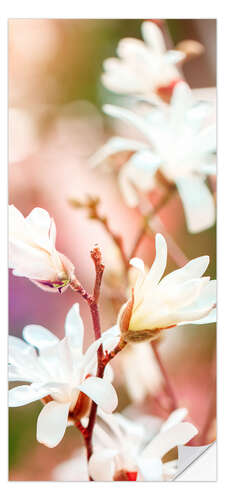 Adesivo de porta Magnolia Blossoms
