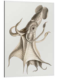 Magnettafel The Cockeyed Squid