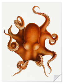 Selvklebende plakat The Polypus Levis Octopus