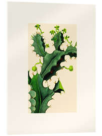 Acrylglas print Vintage Cactus