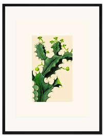 Gerahmter Kunstdruck Vintage Kaktus