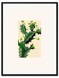 Gerahmter Kunstdruck Vintage Kaktus