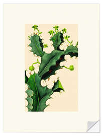 Wall sticker Vintage Cactus