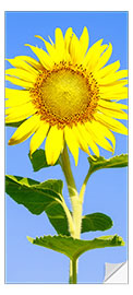 Deursticker Sunflower and Sky Blue