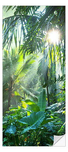 Ovitapetti Rays of Sun in The Jungle