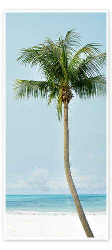 Deurposter Lonely palm tree on the beach