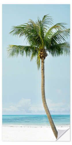 Door sticker Lonely palm tree on the beach
