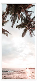 Deurposter Palm Trees and Sea