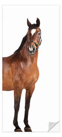 Door sticker Horse in the Hallway - Kidz Collection