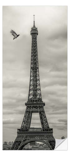Dørtapet Pigeon and Eiffel Tower