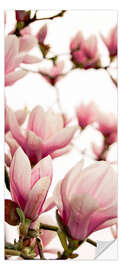 Dørtapet Delicate Magnolias