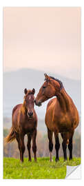 Deursticker Brown Horses in a Meadow - Kidz Collection