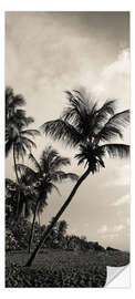 Door sticker Palm Beach Impressions