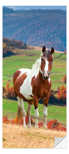 Door sticker Pretty Horse in Hilly Countryside